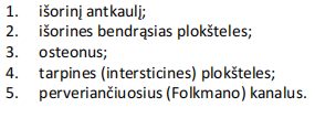<p>Plokštelinis kaulinis audinys (ilgojo kaulo diafizės skersinis pjūvis)</p>