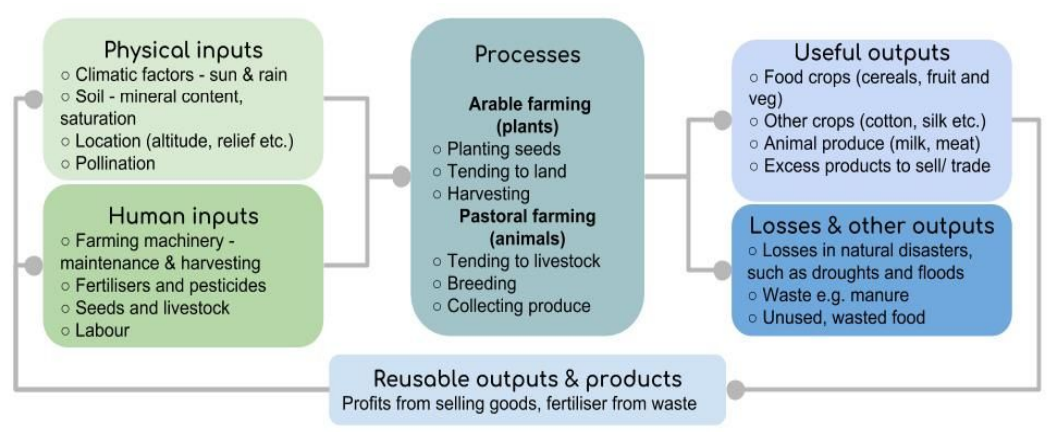 <ul><li><p>Agriculture → the production of yields (crops) through the addition of resources and processes.</p></li><li><p>Agriculture can be classed as a system, as there are inputs, processes, and outputs.</p></li></ul><p></p>