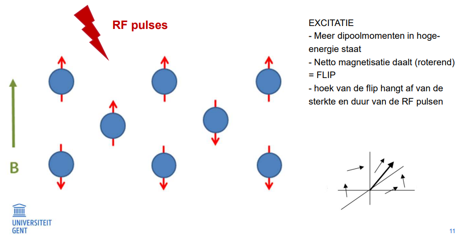 <ul><li><p>E opnemen</p></li><li><p>energie RF pulsen (met larmor frequentie) overgebracht naar atomen</p></li><li><p>meer atomen anti-parallel met B<sub>0</sub> veld</p></li><li><p>flip</p></li></ul><p></p>