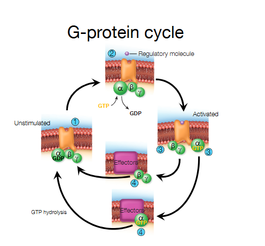 <p>What is this?</p>