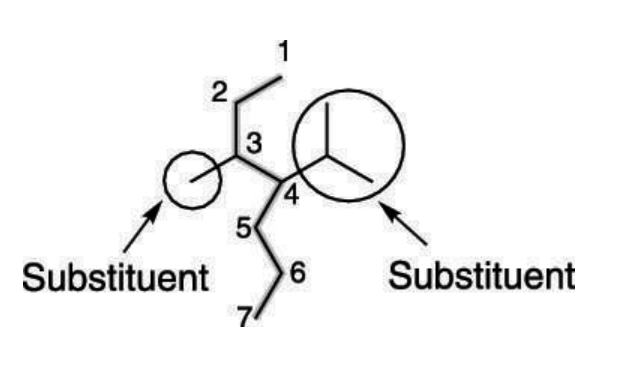 <p>Atoms or group of atoms that replaces a hydrogen and gets attached to the carbon in the longest carbon chain.</p>