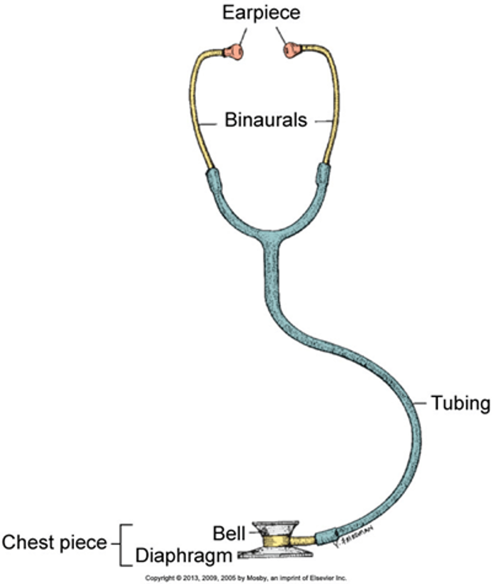 <p>ear pieces, binaurals, tubing, chest piece: diaphragm, bell</p>