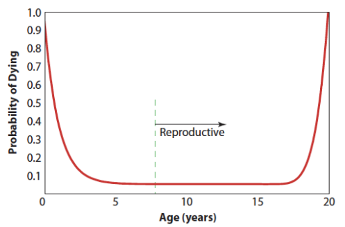 <p>Using this survivorship curve for fishes, identify a point(s) on the curve where the death rates for individuals are low</p>