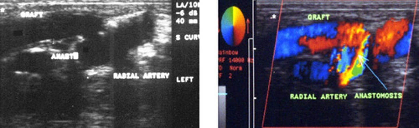 <p>What does this image show</p>