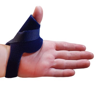 <p>Thumb (connective part/ below)</p>