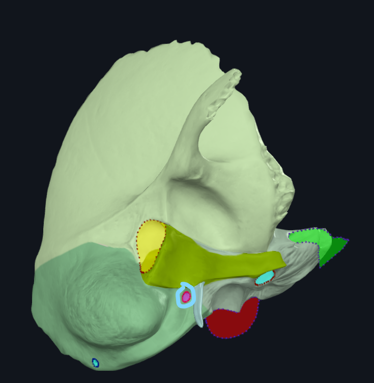 <p>What is circled</p>