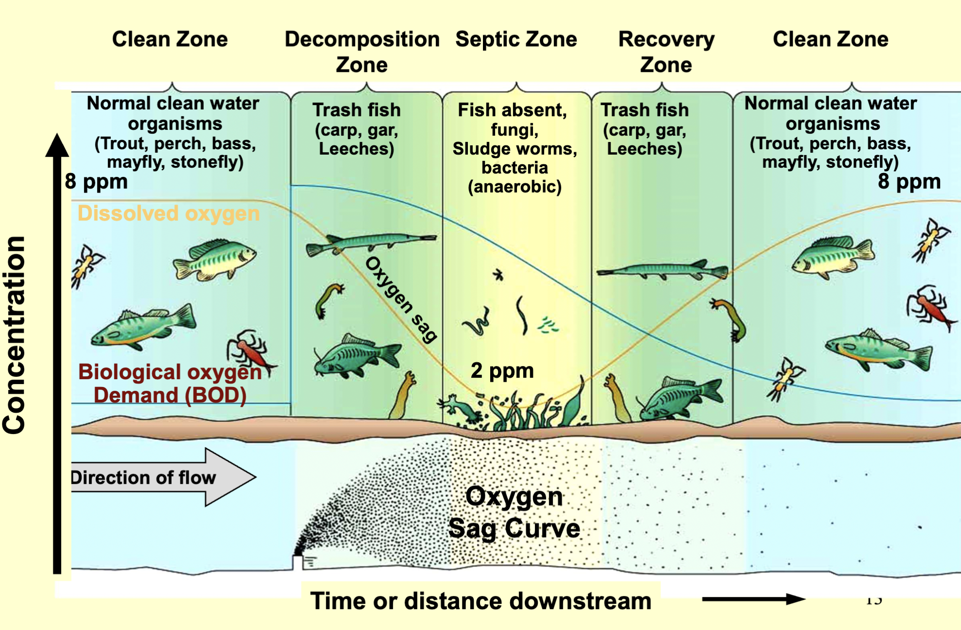 <p>Clean Zone —&gt; Decomposition Zone —&gt; Septic Zone —&gt;  Recovery Zone —&gt; Clean Zone</p>