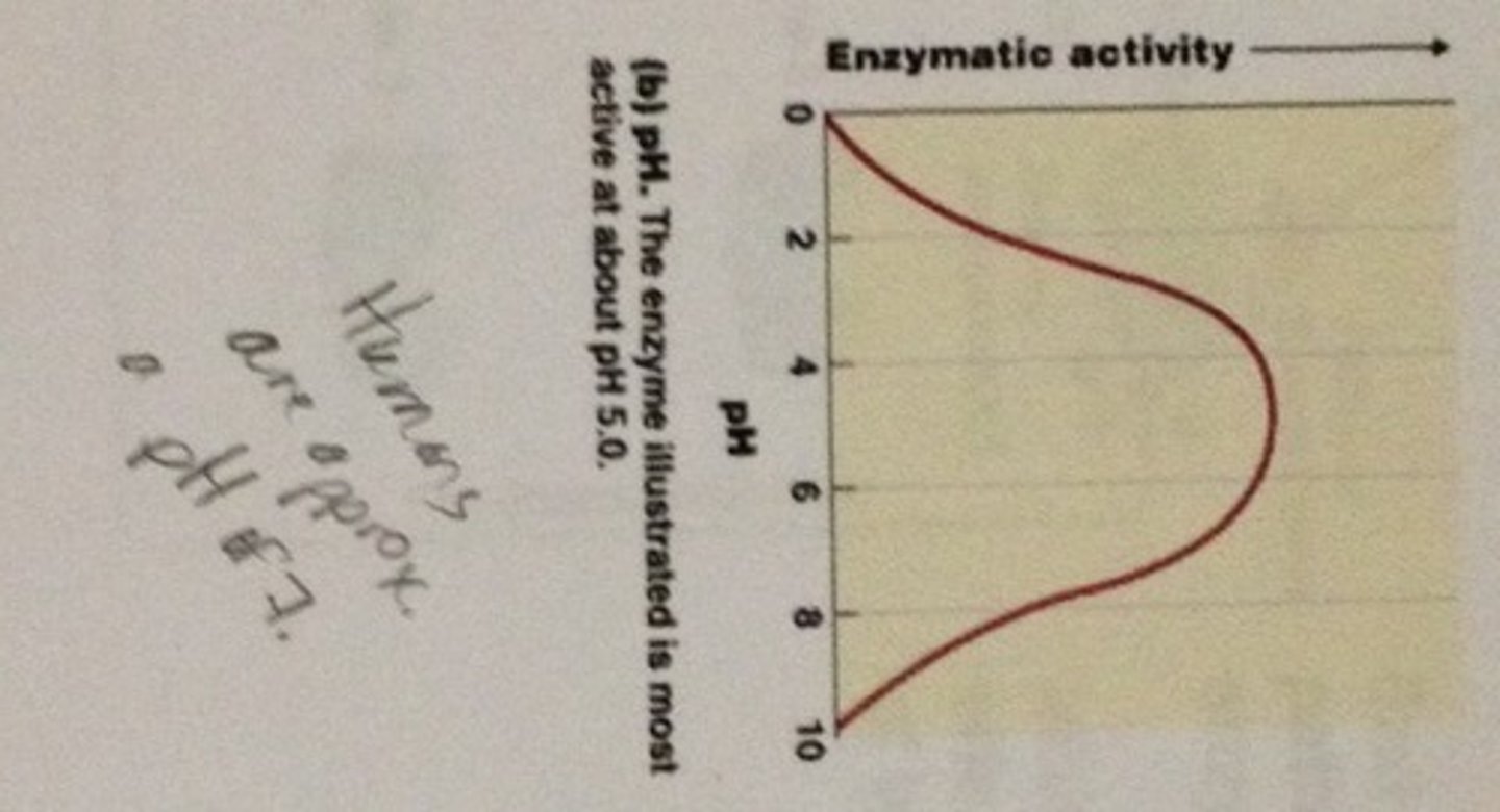 <p>Different enzymes have different optimum pHs, and don't work at extreme pHs. The pH affects the properties of the active site so the substrate can no longer bind</p>