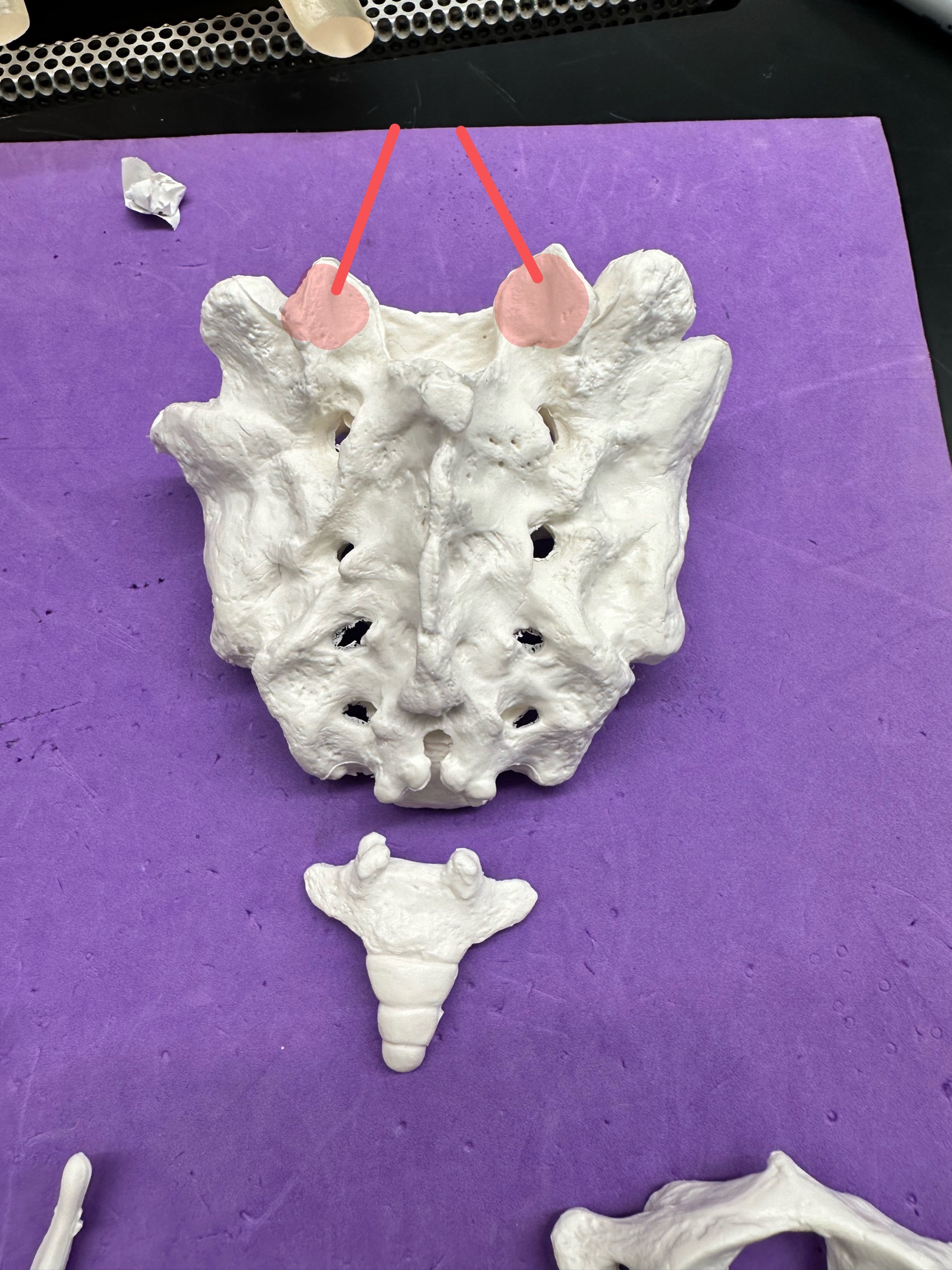 <p>ID feature (flat part)</p>
