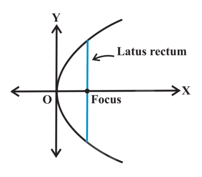 <ul><li><p>chord that passes through the focus and is perpendicular to the axis of symmetry</p></li><li><p>determines how wide the parabola is</p></li></ul><p></p>