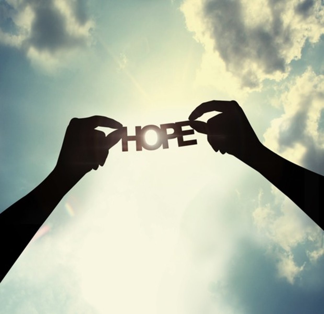 <p>sự lạc quan</p>