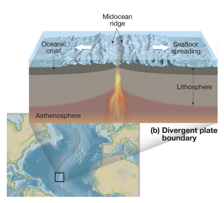 <p><strong>divergent boundary</strong></p>