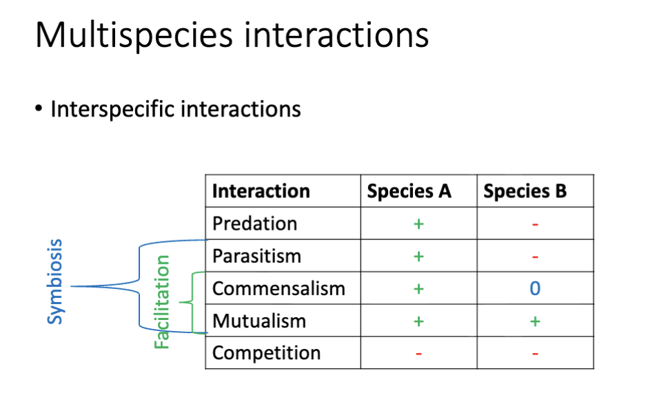 <p>Facilitation: Commensalism, Mutualism </p><p>Symbiosis: Commensalism, Mutualism, Parasitism </p>