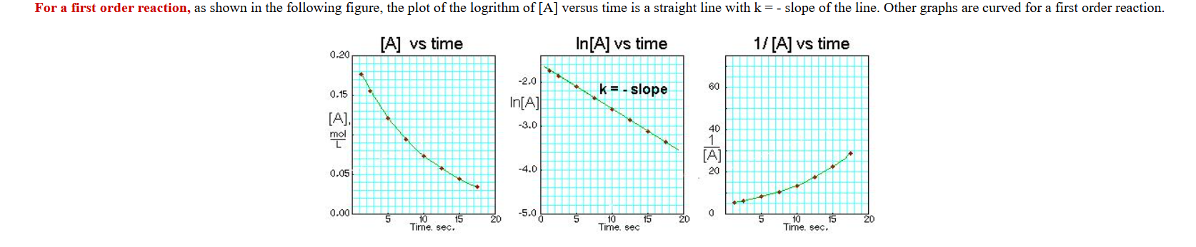 <p>What does a first order concentration graph look like?</p>
