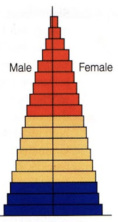 <p>identify this age structure</p>