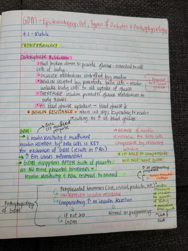 <p>Pathophysiology of GDM 2</p>