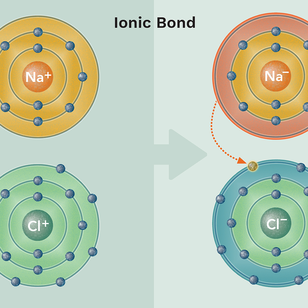 <p>a chemical bond in which one atom loses an electron to form a positive ion and the other atom gains an electron to form a negative ion</p>