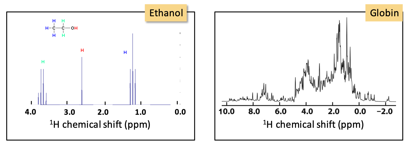 <p>Identifies the chemical surrounding of ¹H nuclei</p><p>As the molecule becomes complicated, so does the ¹H spectra. An overlap of peaks means a <strong>better method needs to be used in order to determine which protons are in close proximity and thus, determine the protein structure</strong> → 2D NMR</p>