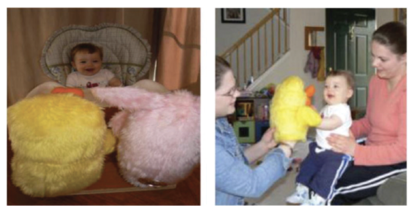 <ul><li><p><span style="background-color: transparent;"><span>Phase 1: infant presented with yellow duck and pink rabbit (for 60 min straight or for two 30 min periods in one day.</span></span></p></li></ul><ul><li><p><span style="background-color: transparent;"><span>Phase 2: Three target actions performed on pink rabbit</span></span></p></li></ul><ul><li><p><span style="background-color: transparent;"><span>Phase 3: Infant presented with the duck to see if they would perform the actions performed on the rabbit (evidence of association formation)</span></span></p></li></ul><p>Results:</p><ul><li><p><span style="background-color: transparent;"><span>Better retention for the two 30 min sessions in one day. (Remember spacing?)</span></span></p></li><li><p><span style="background-color: transparent;"><span>Key finding: 6 month olds demonstrated a </span><em><span>longer</span></em><span> retention period than 9 month olds. (28 vs. 14 days later, respectively)</span></span></p></li><li><p><span style="background-color: transparent;"><span>Seems to support ecological model assumption that forming certain associations would be easier for younger infants (due to being more nonselective as a result of relative immobility)</span></span></p></li></ul><p></p>