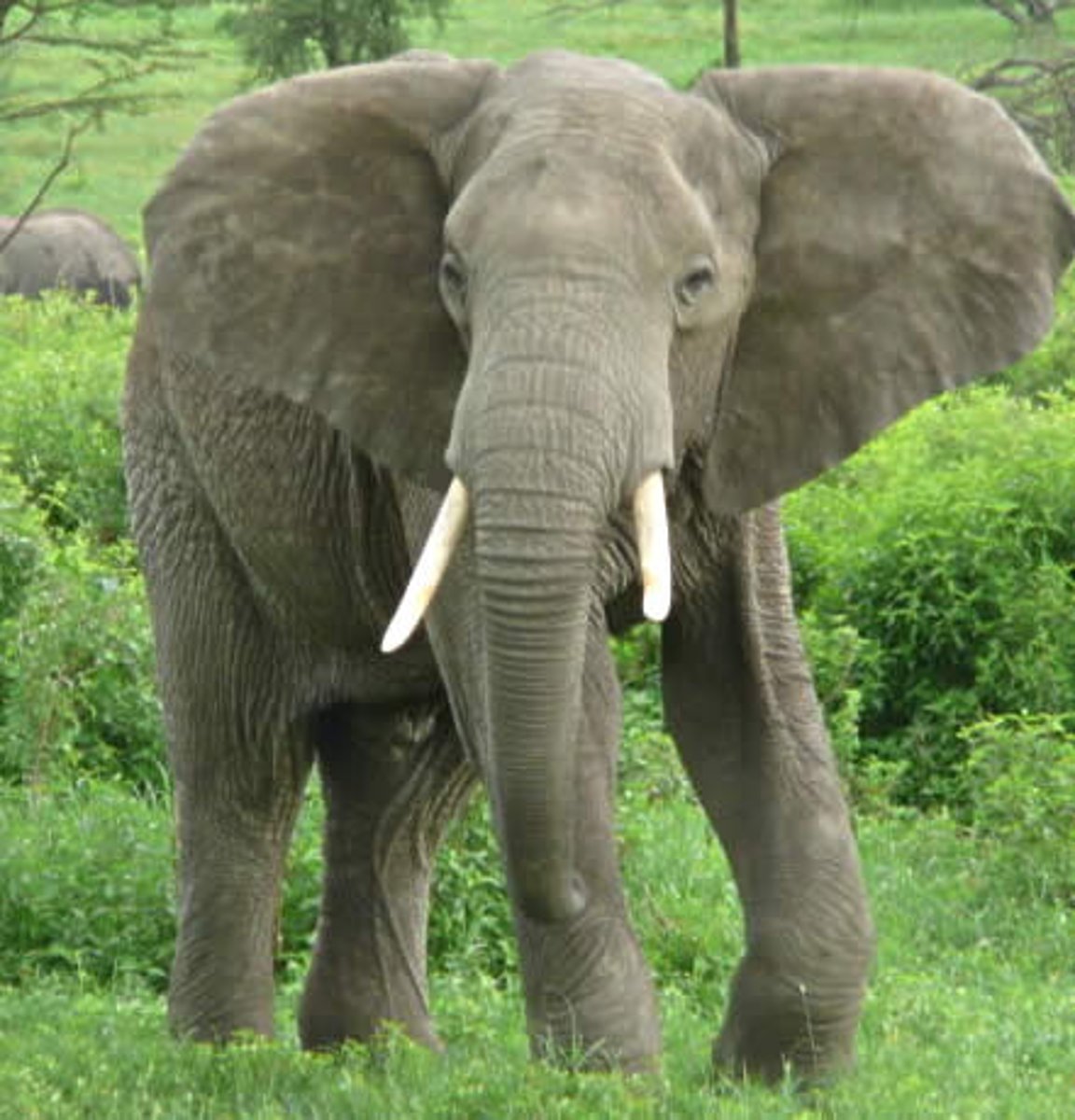 <p>remarkably or impressively great in extent, size, or degree.</p>