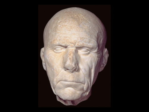 <p>Elder of Sccuppito </p>