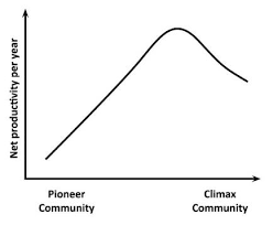 <ul><li><p>Productivity increases as succession proceeds —> as larger plant species become established in the late stages they may dominate the ecosystem blocking light from the ground reducing the amount of primary productivity. As consumers move in they do not contribute to primary productivity but do add to the ‘respiration’</p></li></ul><p></p>