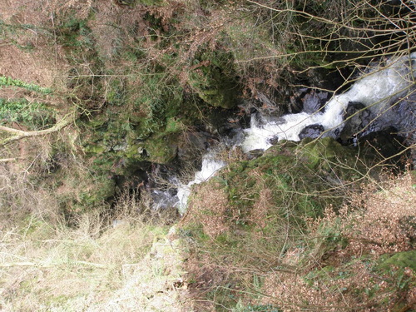 <p>Type of water erosion, large channels not able to be repaired by tilling of fields</p>