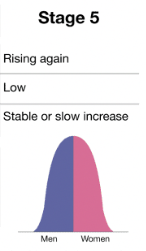 <ul><li><p>rising birth rate again</p></li><li><p>low death rate</p></li><li><p>stable or slow natural increase</p></li></ul>