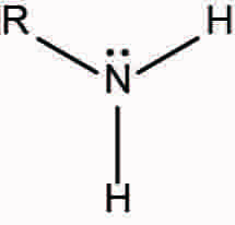 <p>Ex. CH3-NH2</p>