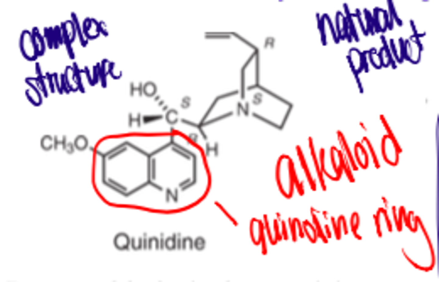 <p>- hydroxylated</p><p>- quinoline ring</p><p>- quinuclidine ring</p><p>These metabolites possess only about 1/3 the activity of quinidine</p>