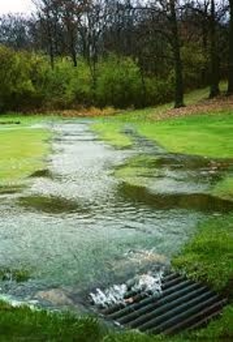 <p>water that flows over the ground surface rather than soaking into the ground</p>