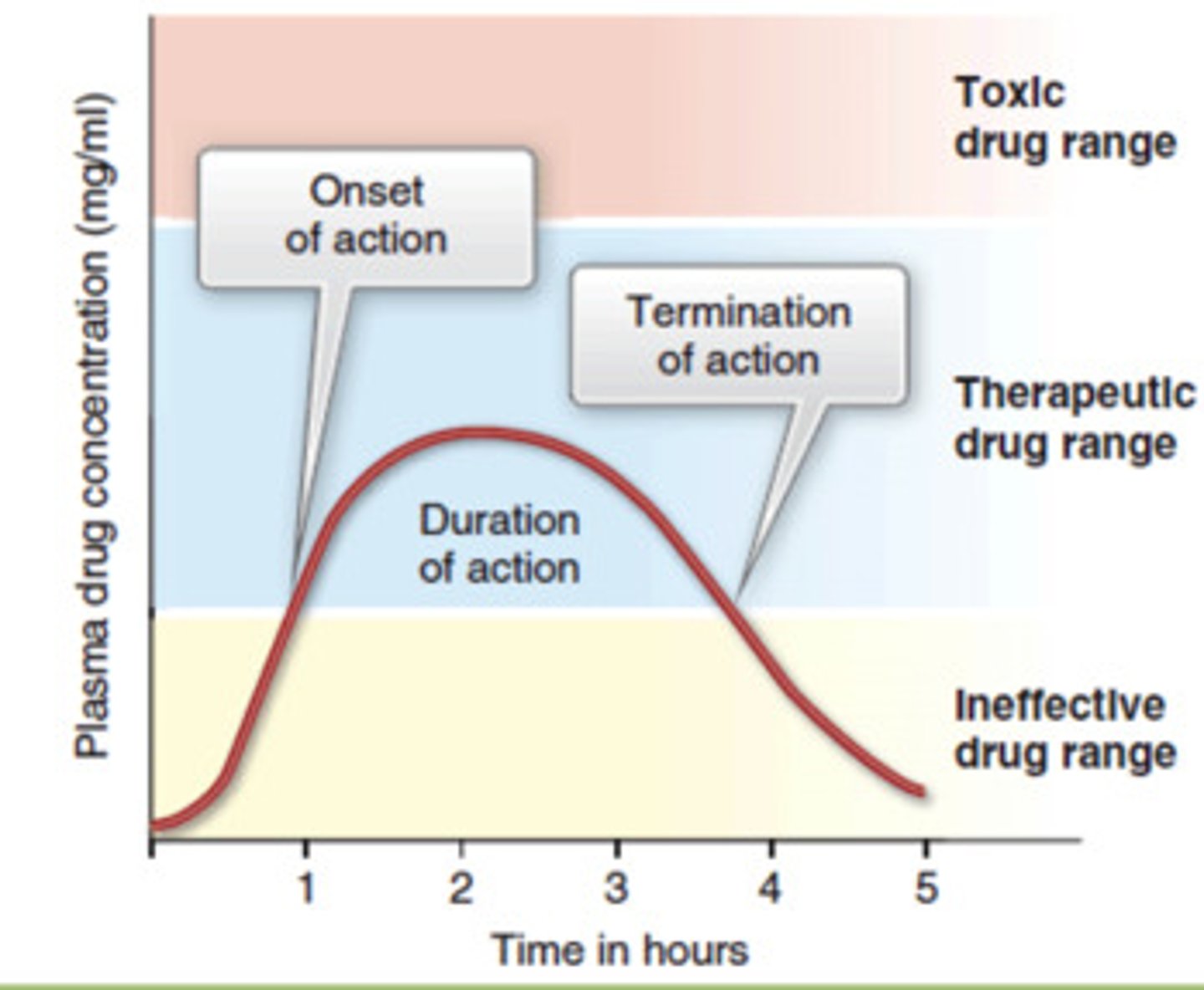 <p>down (bc less absorption/ less drugs reach blood)</p>