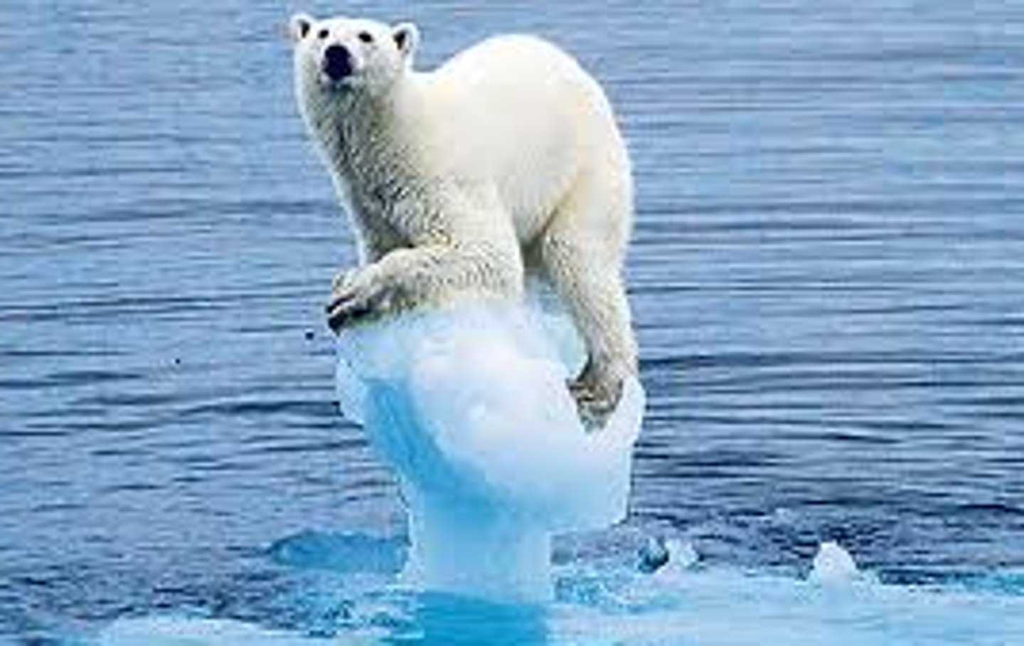 <p>a change in global or regional climate patterns</p>