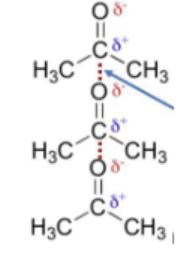 <p>What type of attractive force is indicated by the arrow?<br>A. Covalent bond<br>B. London dispersion forces<br>C. Hydrogen bonding<br>D. Dipole-dipole</p>