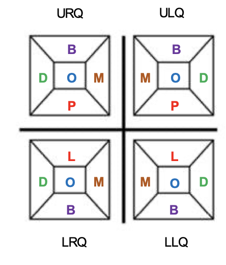 <p>1 - B</p><p>2 - O</p><p>3 - P</p><p>4 - D</p><p>5 - M</p><p>6 - B</p><p>7 - O</p><p>8 - P</p><p>9 - M</p><p>10 - D</p><p>11 - L</p><p>12 - O</p><p>13 - B</p><p>14 - D</p><p>15 - M</p><p>16 - L</p><p>17 - O</p><p>18 - B</p><p>19 - M</p><p>20 - D</p><p></p>
