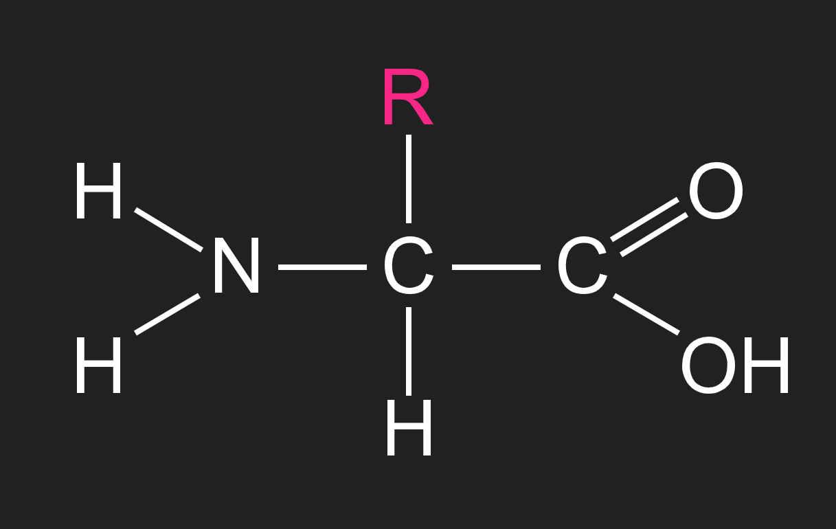 <p>there are 20 different R groups across the 20 amino acids</p>