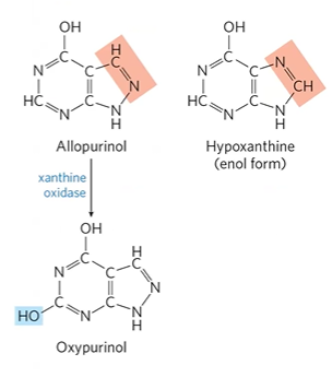 <p>allopurinol, inhibitor of xanthine oxidase</p><p>converted to oxypurinol, comp. inhibitor</p>