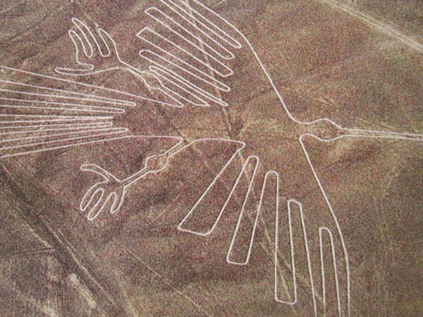 <p>líneas</p>