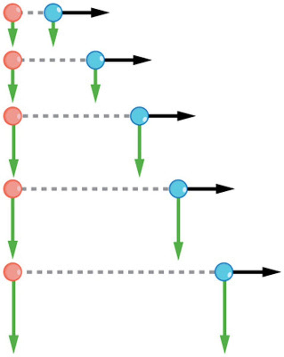 <p>The concept that horizontal and vertical components of motion are independent of each other.</p>