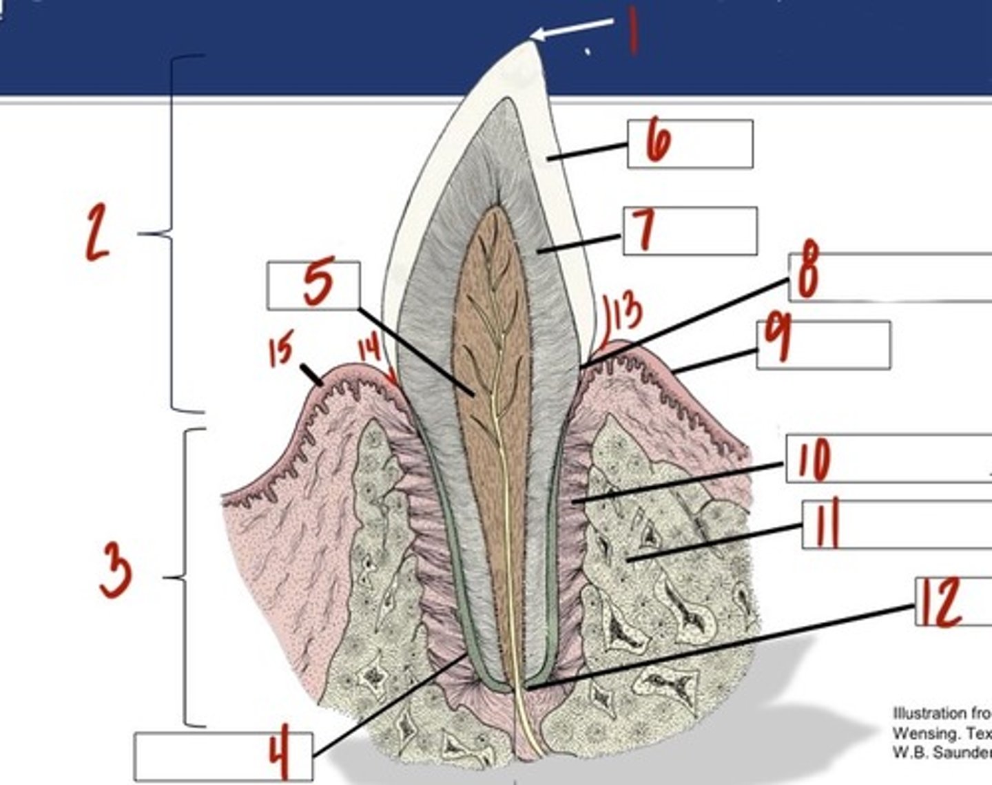 <p>What is 3?</p>