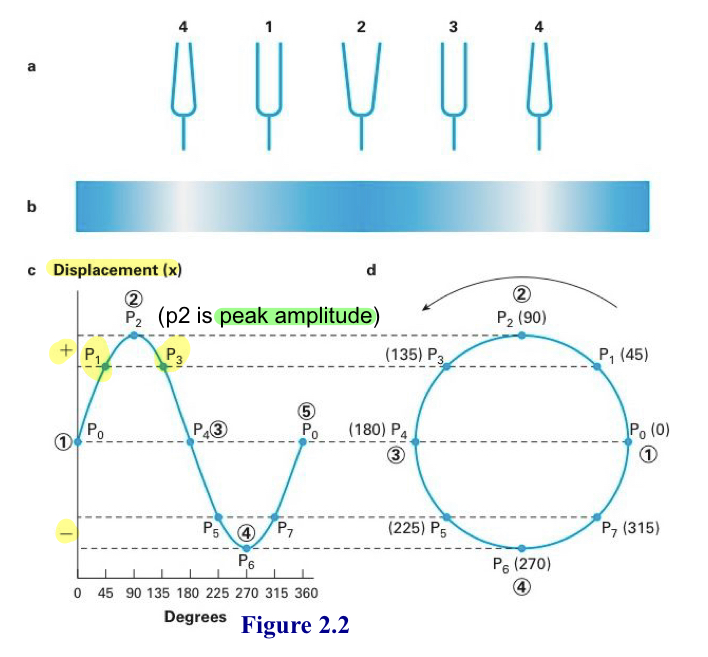 <p>Simple harmonic motion </p>