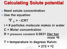 <p>C=0 is the water is distilled. More solute added —> more negative solute potential becomes</p>