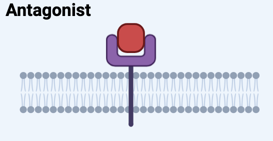 <p>Definition of Antagonist</p>