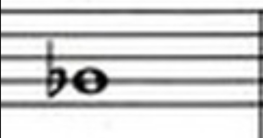 term image