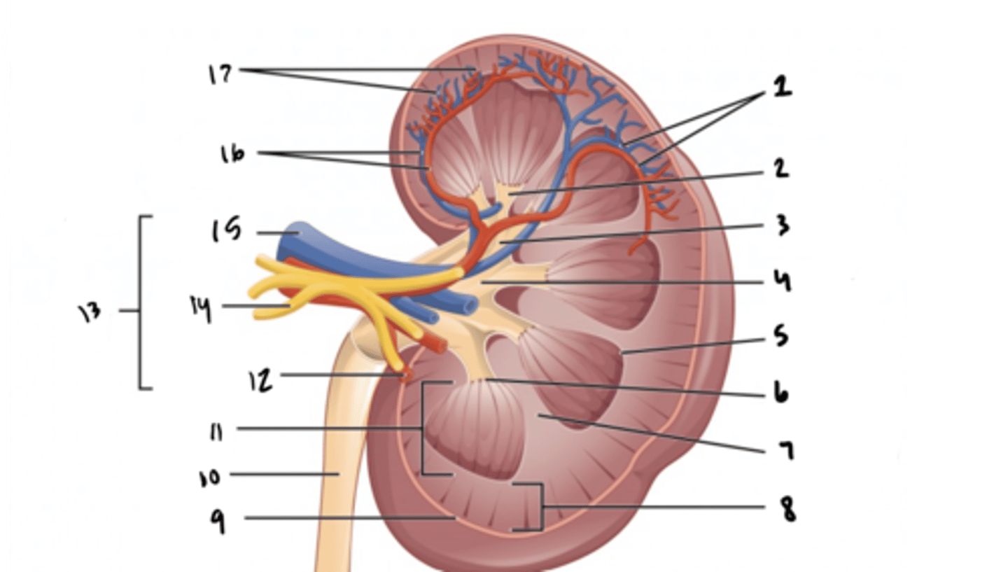 <p>What is structure 6?</p>