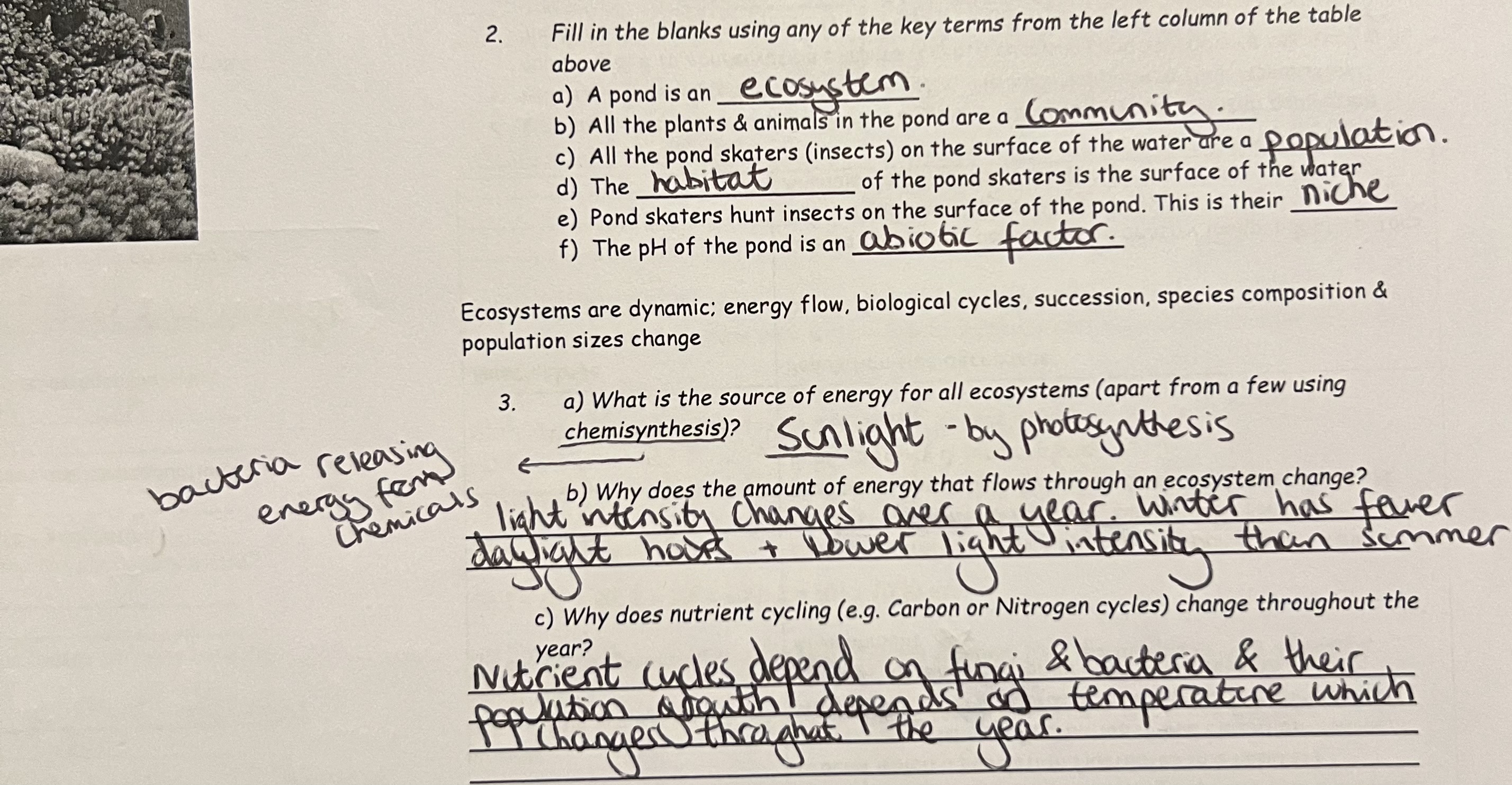 knowt flashcard image