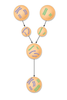 <p>Explain what’s happening</p>