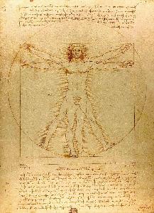 <p>Vitruvian Man</p>