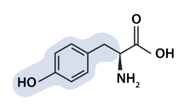 <p>what aa is this</p>