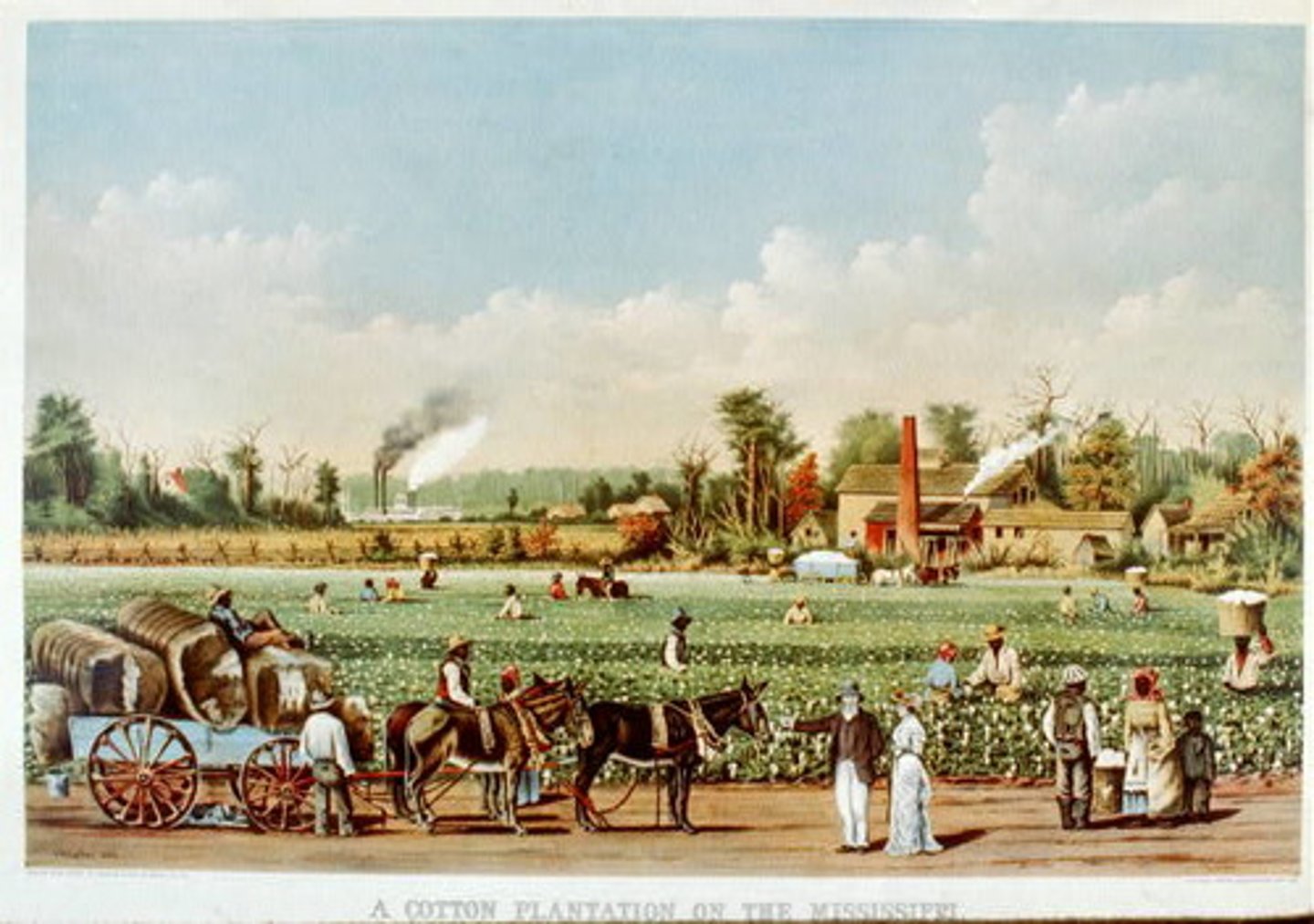 <p>large farms used to produce cash crops (sugar, cotton, tobacco)</p>